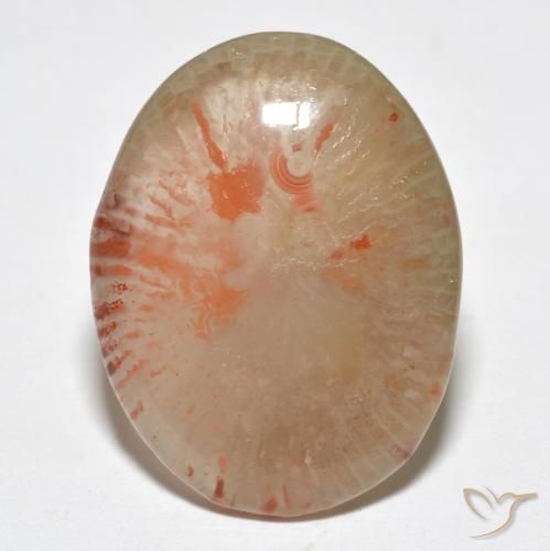 9.95ct طبيعي متعدد الألوان مرجان, بيضوي, نصف شفاف, Photo A