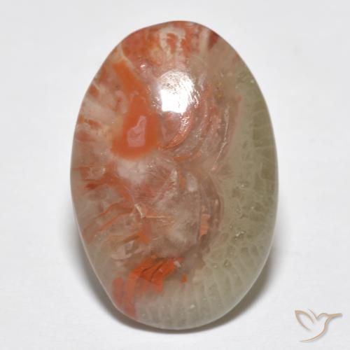 8.18ct طبيعي متعدد الألوان مرجان, بيضوي, نصف شفاف