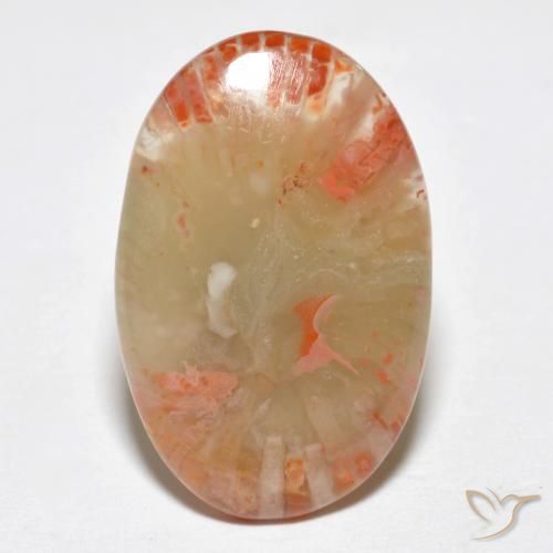 6.23ct طبيعي متعدد الألوان مرجان, بيضوي, نصف شفاف, Photo A