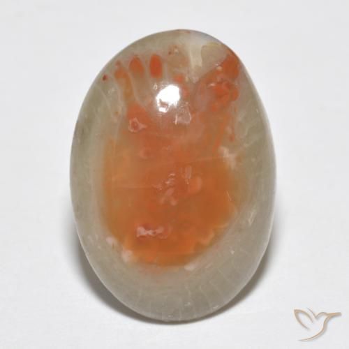 7.46ct طبيعي متعدد الألوان مرجان, بيضوي, نصف شفاف