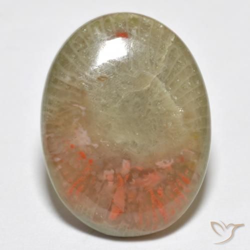 10.63ct طبيعي متعدد الألوان مرجان, بيضوي, نصف شفاف