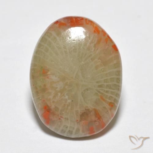 5.78ct طبيعي متعدد الألوان مرجان, بيضوي, نصف شفاف, Photo A