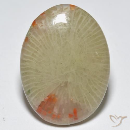 12.56ct طبيعي متعدد الألوان مرجان, بيضوي, نصف شفاف