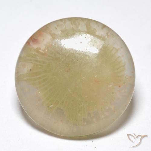 10.55ct طبيعي متعدد الألوان مرجان, دائري, نصف شفاف