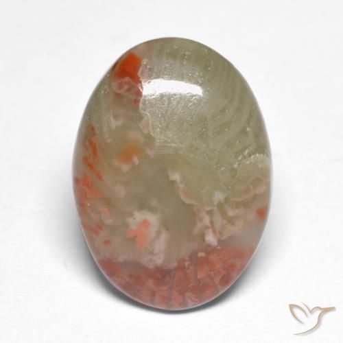 5.88ct طبيعي متعدد الألوان مرجان, بيضوي, نصف شفاف