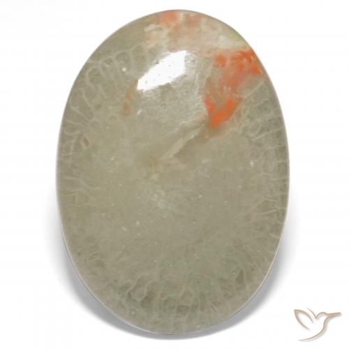 15.23ct طبيعي متعدد الألوان مرجان, بيضوي, نصف شفاف
