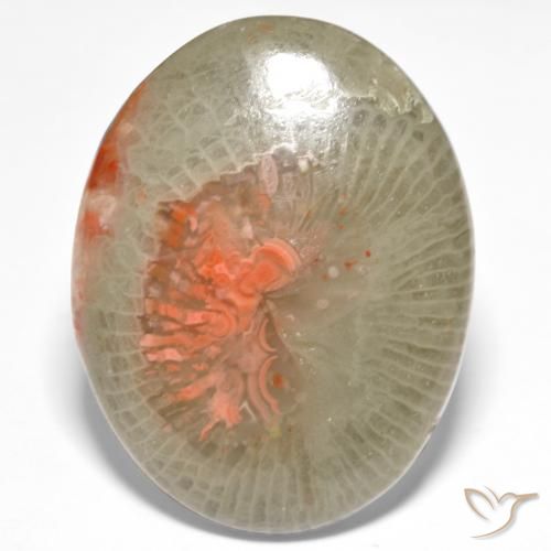 18.98ct طبيعي متعدد الألوان مرجان, بيضوي, نصف شفاف