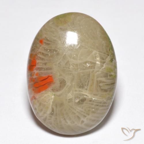 10.40ct طبيعي متعدد الألوان مرجان, بيضوي, غير شفاف