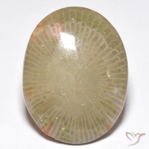 13.91ct طبيعي متعدد الألوان مرجان, بيضوي, نصف شفاف, Photo A