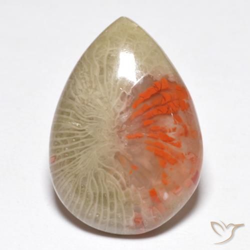 10.46ct طبيعي متعدد الألوان مرجان, شكل الكمثرى, نصف شفاف