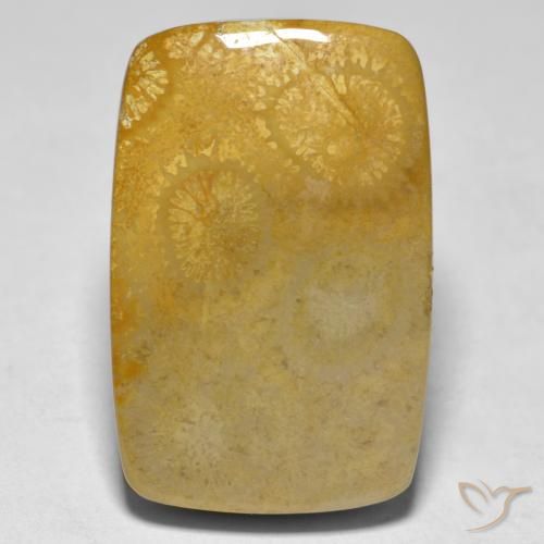 17.79ct طبيعي متعدد الألوان مرجان, وسادة, غير شفاف, Photo A