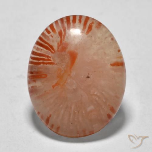 9.94ct طبيعي متعدد الألوان مرجان, بيضوي, نصف شفاف
