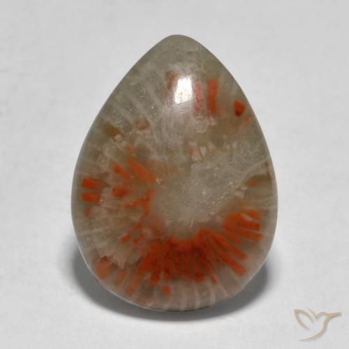 5.31ct طبيعي متعدد الألوان مرجان, شكل الكمثرى, نصف شفاف