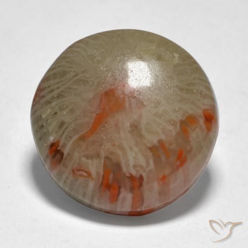 9.21ct طبيعي متعدد الألوان مرجان, دائري, نصف شفاف
