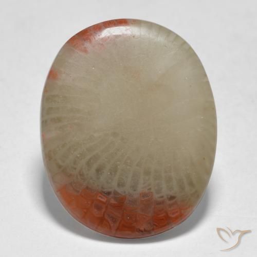 5.98ct طبيعي متعدد الألوان مرجان, بيضوي, نصف شفاف