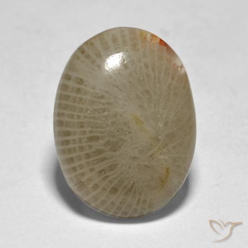 7.50ct طبيعي متعدد الألوان مرجان, بيضوي, نصف شفاف, Photo A
