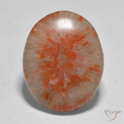 11.21ct طبيعي متعدد الألوان مرجان, بيضوي, نصف شفاف