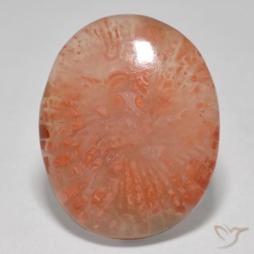 12.52ct طبيعي متعدد الألوان مرجان, بيضوي, نصف شفاف