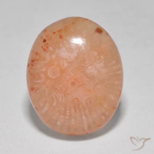 8.68ct طبيعي متعدد الألوان مرجان, بيضوي, نصف شفاف