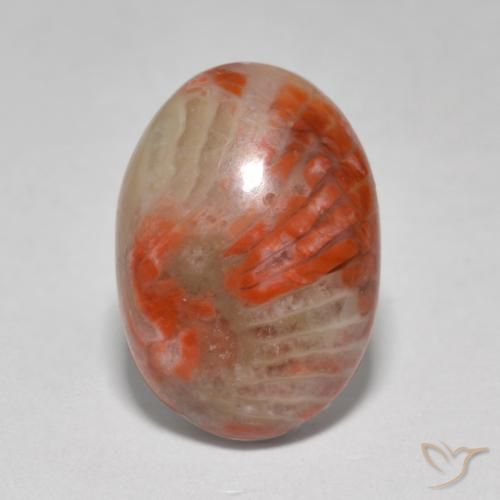 6.07ct طبيعي متعدد الألوان مرجان, بيضوي, نصف شفاف
