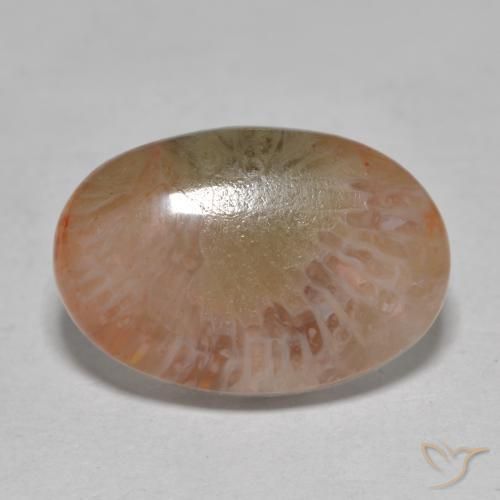 7.25ct طبيعي متعدد الألوان مرجان, بيضوي, نصف شفاف