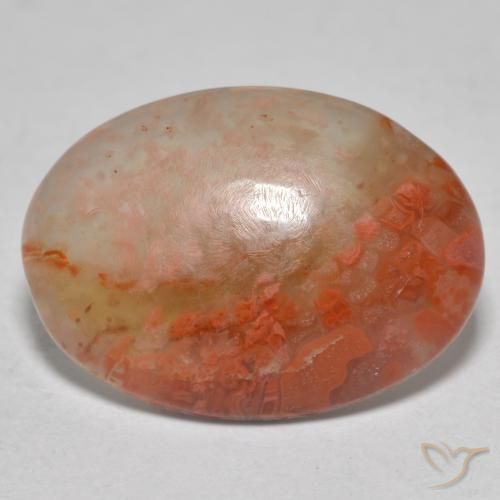 8.13ct طبيعي متعدد الألوان مرجان, بيضوي, نصف شفاف, Photo A