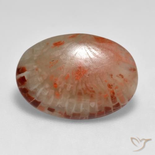 6.24ct طبيعي متعدد الألوان مرجان, بيضوي, نصف شفاف