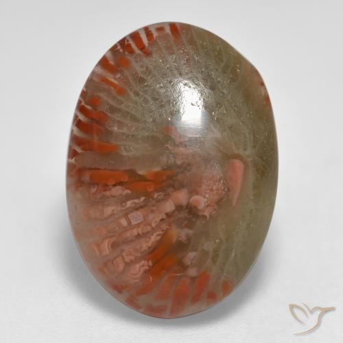 8.55ct طبيعي متعدد الألوان مرجان, بيضوي, نصف شفاف