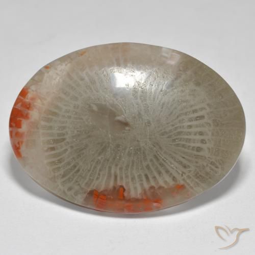 17.43ct طبيعي متعدد الألوان مرجان, بيضوي, غير شفاف