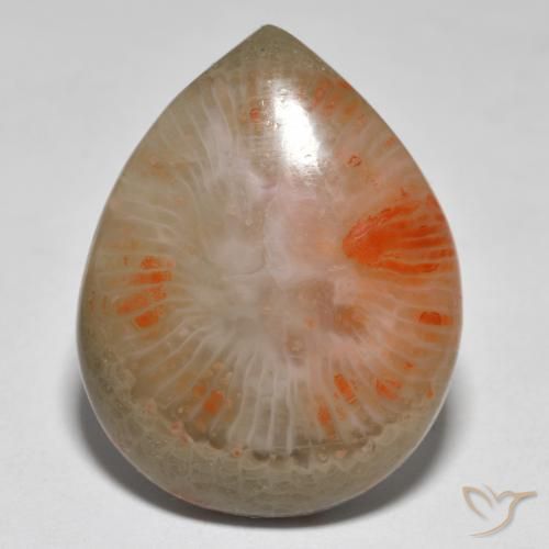 16.37ct طبيعي متعدد الألوان مرجان, شكل الكمثرى, نصف شفاف, Photo A