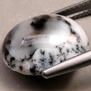 عقيق شجيري متعدد الألوان طبيعي، قصة بيضاوى، 6.92 قيراط، غير شفاف