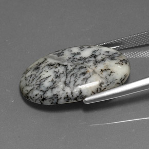 عقيق شجيري متعدد الألوان طبيعي، قصة بيضاوى، 15.76 قيراط، غير شفاف