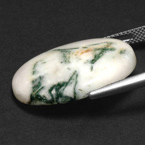 عقيق شجيري متعدد الألوان طبيعي، قصة بيضاوى، 17.43 قيراط، غير شفاف