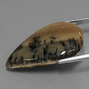 عقيق شجيري متعدد الألوان طبيعي، شكل الكمثرى، 19.92 قيراط، غير شفاف