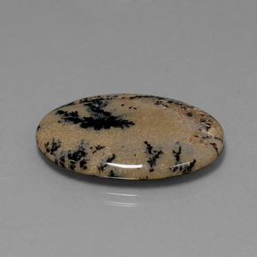 عقيق شجيري متعدد الألوان طبيعي، قصة بيضاوى، 21.34 قيراط، غير شفاف