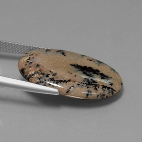 عقيق شجيري متعدد الألوان طبيعي، قصة بيضاوى، 21.34 قيراط، غير شفاف