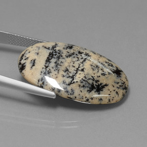 عقيق شجيري متعدد الألوان طبيعي، قصة بيضاوى، 28.19 قيراط، غير شفاف