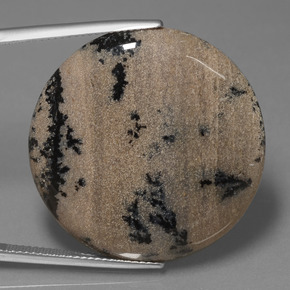 عقيق شجيري متعدد الألوان طبيعي، قصة دائرى، 36.61 قيراط، غير شفاف