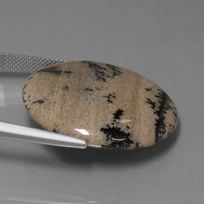 عقيق شجيري متعدد الألوان طبيعي، قصة دائرى، 36.61 قيراط، غير شفاف