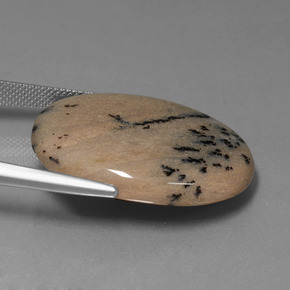 عقيق شجيري متعدد الألوان طبيعي، قصة بيضاوى، 35.89 قيراط، غير شفاف