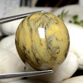 عقيق شجيري متعدد الألوان طبيعي، قصة بيضاوى، 44.92 قيراط، غير شفاف