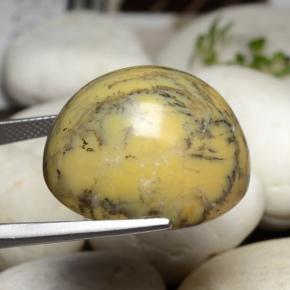 عقيق شجيري متعدد الألوان طبيعي، قصة بيضاوى، 44.92 قيراط، غير شفاف