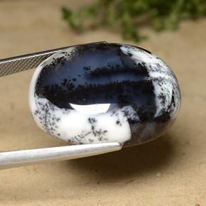 عقيق شجيري متعدد الألوان طبيعي، قصة بيضاوى، 42.78 قيراط، غير شفاف