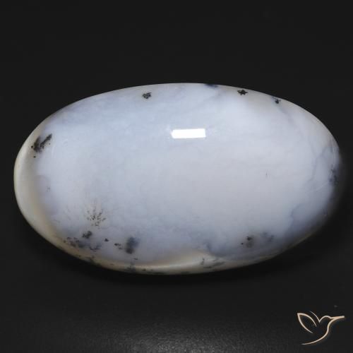28.10ct طبيعي أبيض مع أسود عقيق شجيري, بيضوي, غير شفاف