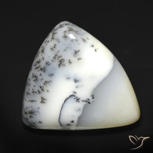 12.51ct طبيعي أبيض مع أسود عقيق شجيري, مثلثى, نصف شفاف