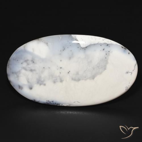 109.22ct طبيعي أبيض مع أسود عقيق شجيري, بيضوي, غير شفاف