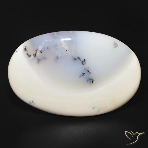 144.19ct طبيعي أبيض مع أسود عقيق شجيري, بيضوي, غير شفاف