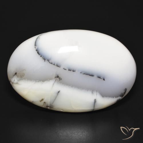 54.75ct طبيعي أبيض مع أسود عقيق شجيري, بيضوي, غير شفاف