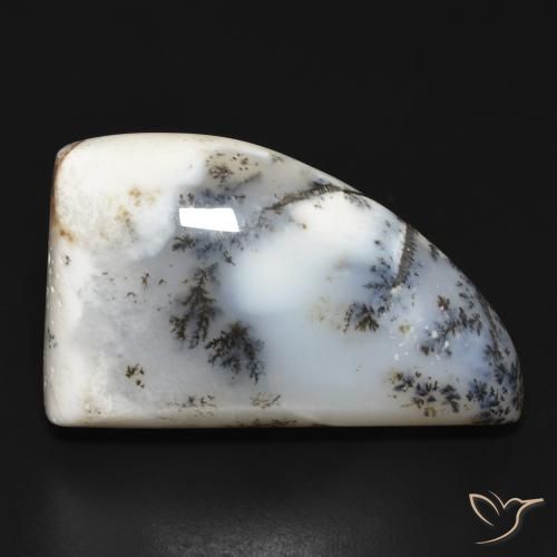 33.60ct طبيعي أبيض مع أسود عقيق شجيري, فانسى, غير شفاف