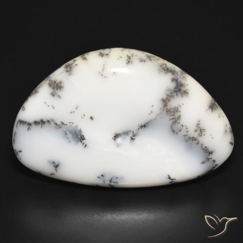 31.47ct طبيعي أبيض مع أسود عقيق شجيري, فانسى, غير شفاف